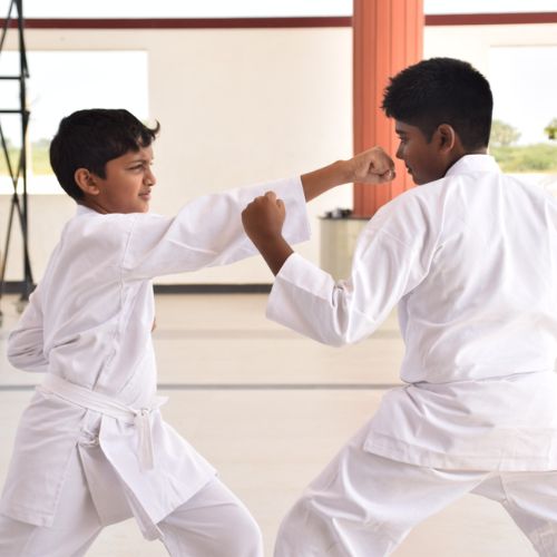 karate_kingofKingsCBSE_003